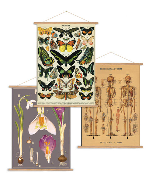 Rua - Online gift shop full of unique gifts! Free UK delivery over £49