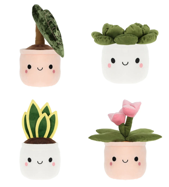 30cm Cuddly Houseplants