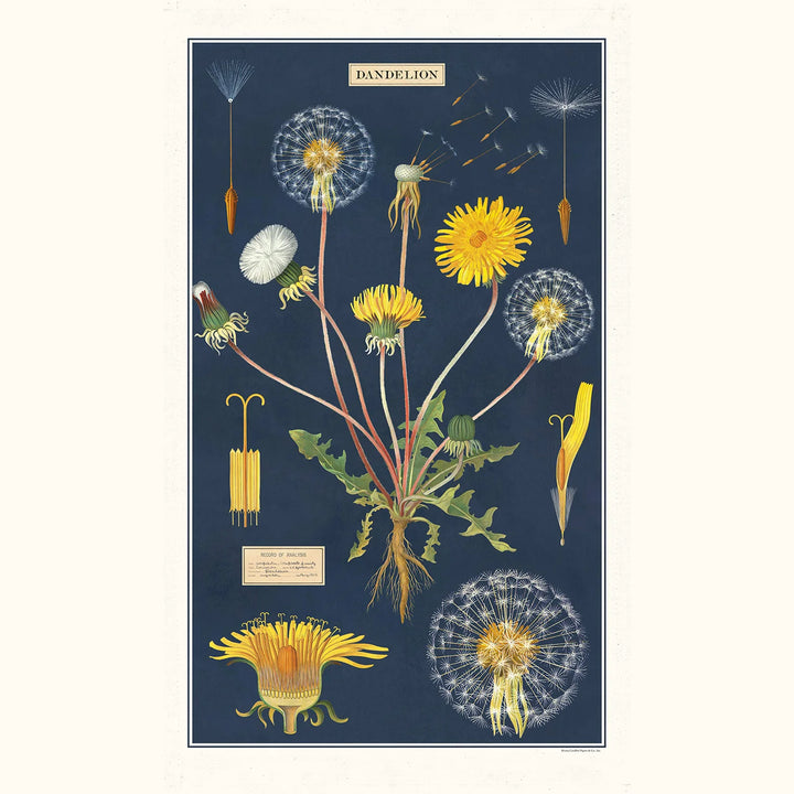 Dandelion Tea Towel