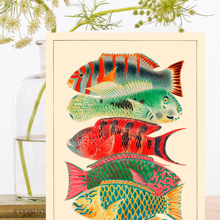 Great Barrier Reef Fishes Blank Card