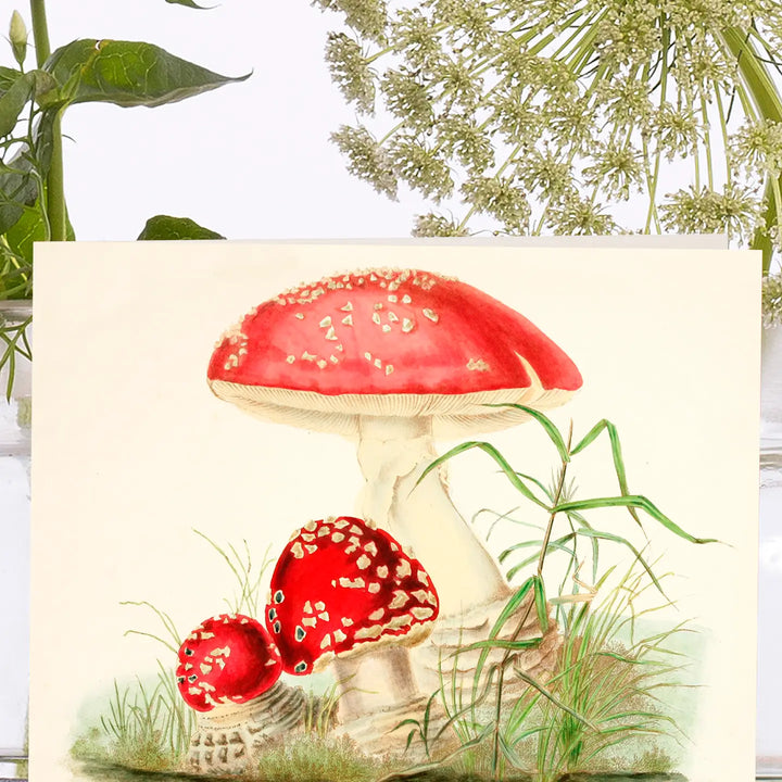 Woodland Mushrooms Mini Blank Card