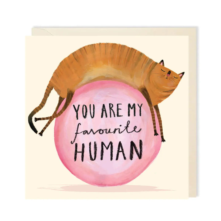 My Favourite Human Kitty Cat Blank Greeting Card