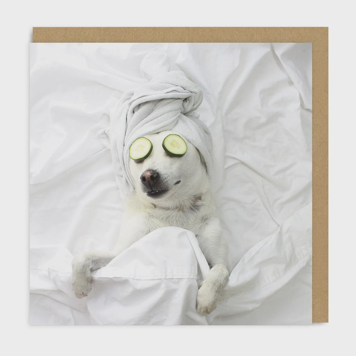 Pampered Pooch Square Greeting Card
