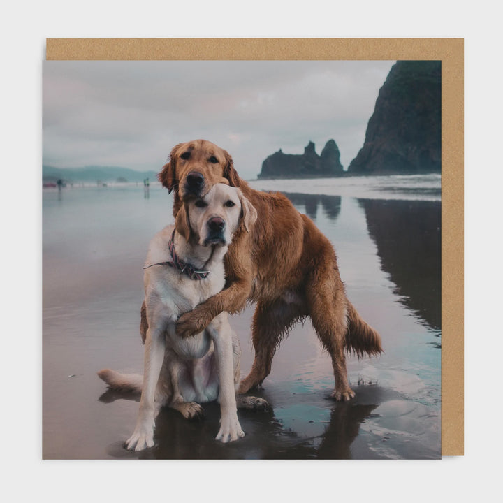 Beach Dogs Hug Square Greeting Card