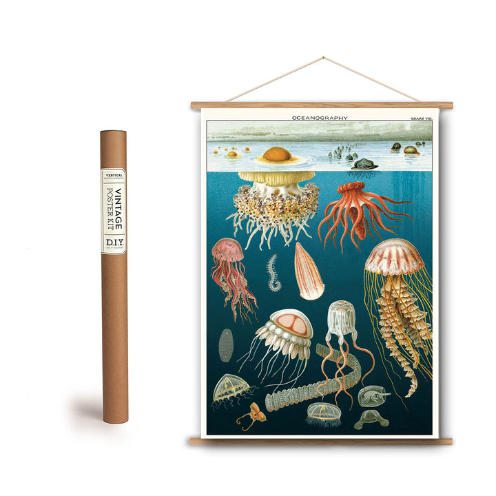 Jellyfish Oceanography Print Chart Poster