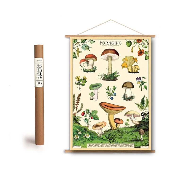 Foraging Print Botany Chart Poster