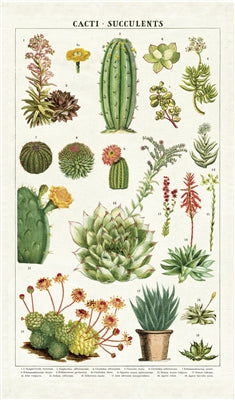 Cacti & Succulents Print Cotton Tea Towel