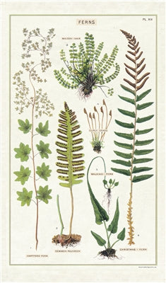 Fern Botanical Print Cotton Tea Towel