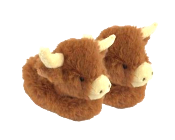 Little Fluffy Highland Coo Baby Slippers