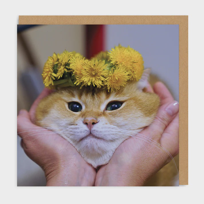 Cat Face Square Greeting Card
