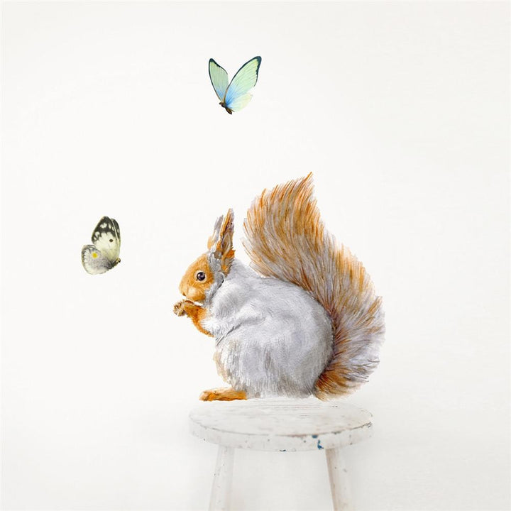 Grey Squirrel Wall Decal