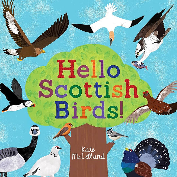 Hello Scottish Birds Childrens Scottish Book