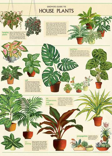 House Plants Print Botany Chart Poster