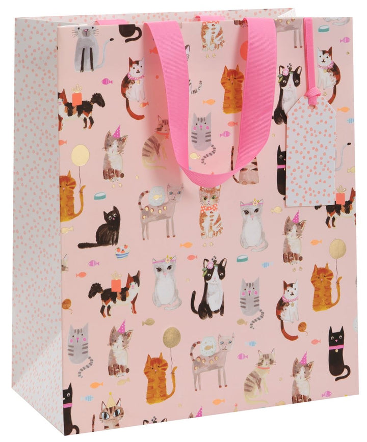 Large Cats Whiskers Gift Bag