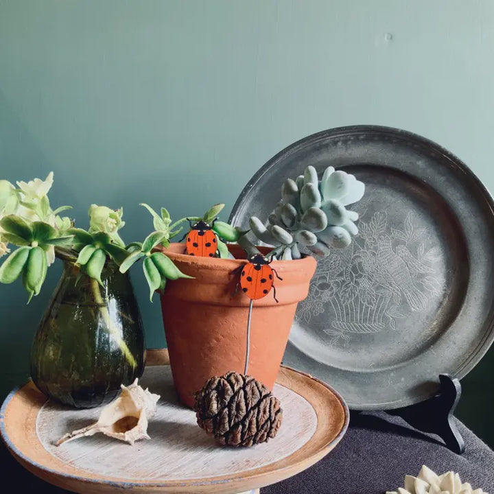 Ladybird Plant Pot Companions