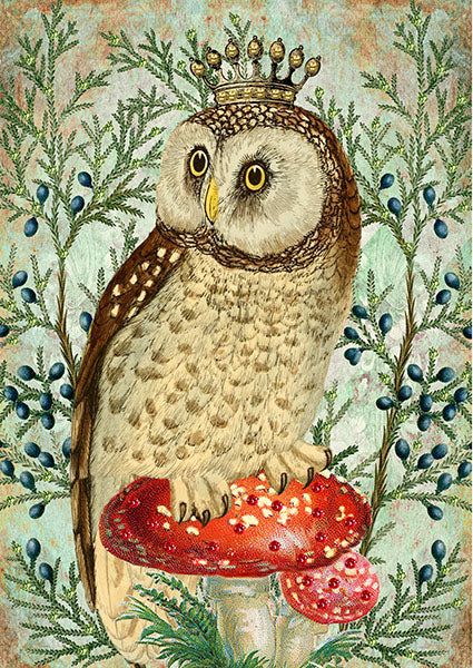 Owl & Crown Card