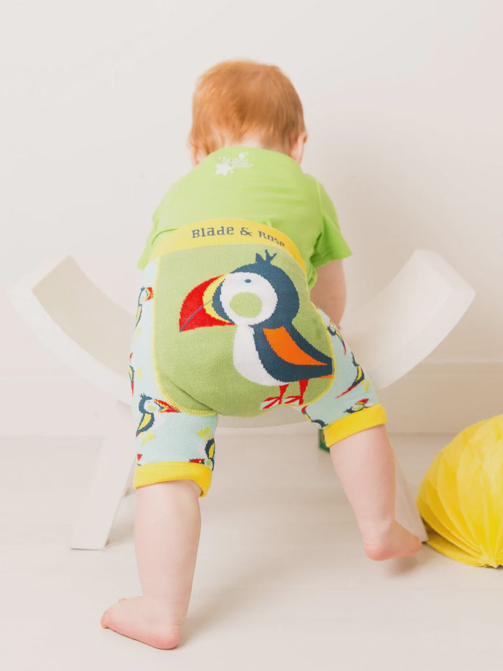 Blade & Rose Finley the Puffin Baby/Kids Shorts
