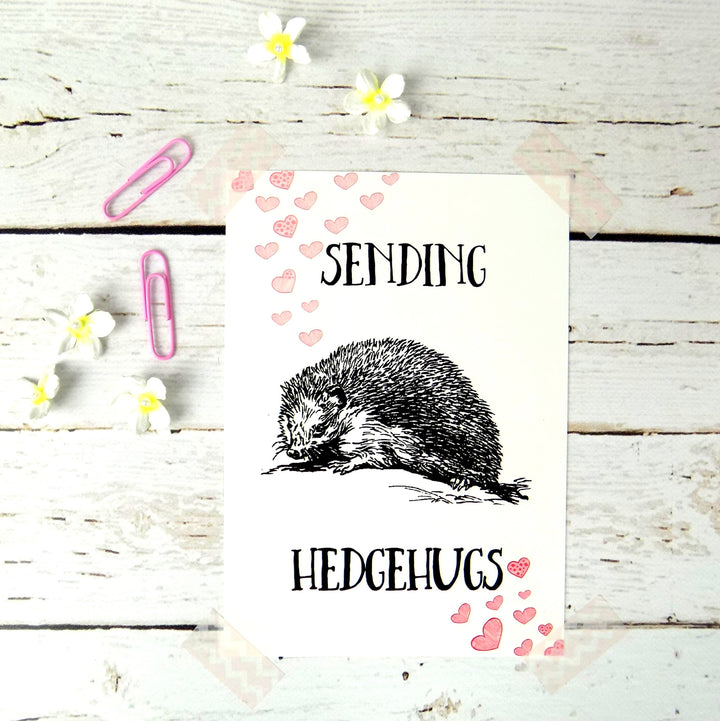 Sending Hedgehugs postcard