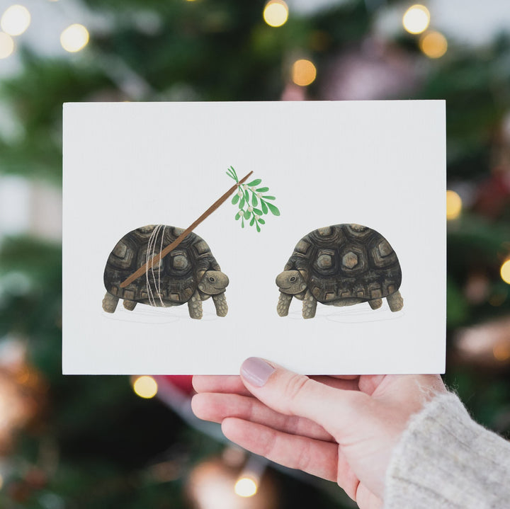 Christmas Tortoise With Mistletoe Christmas Card