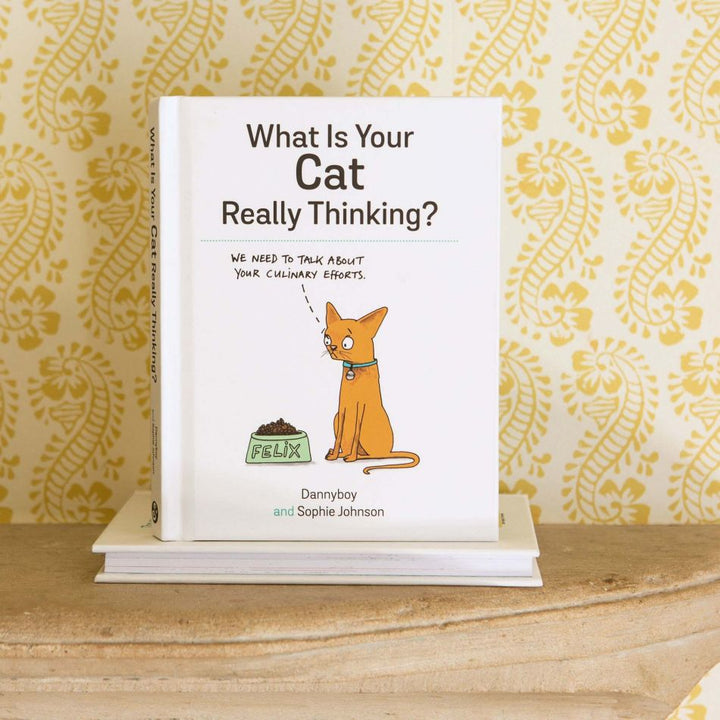 What is Your Cat Really Thinking Book