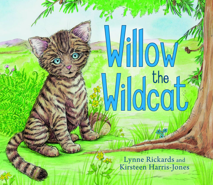 WILLOW THE WILDCAT SCOTTISH KIDS BOOK