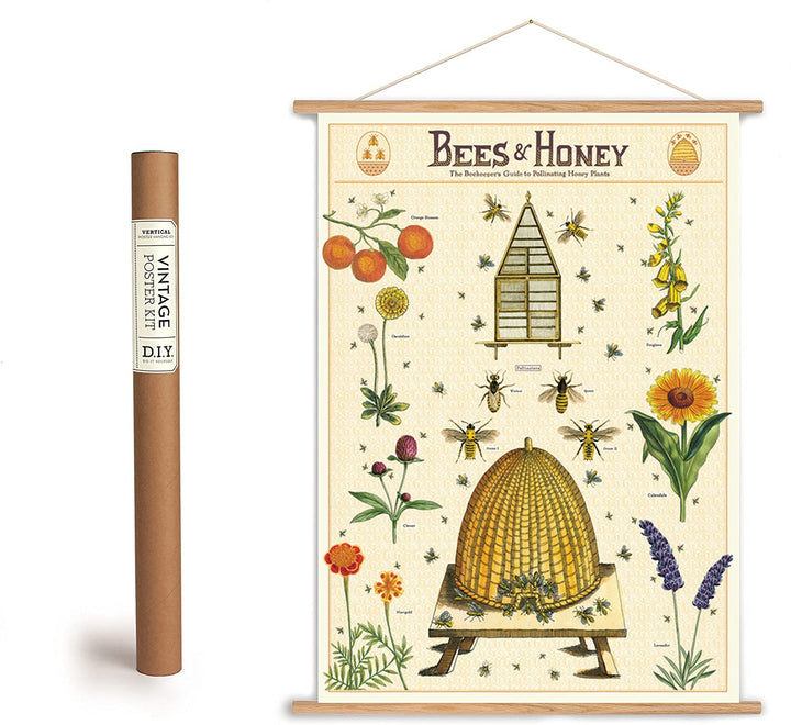 Bees & Honey Print Poster