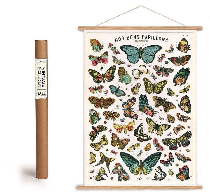 Vintage Chart Style Butterfly Print Poster