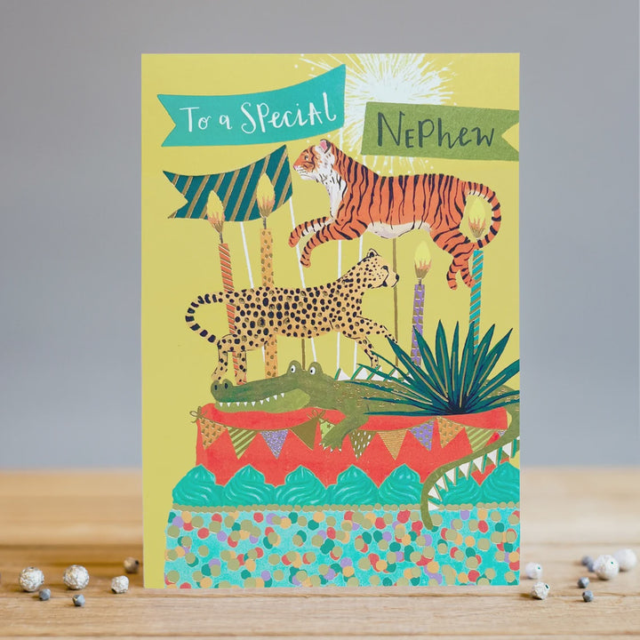 To A Special Nephew Card