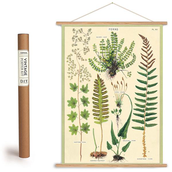 Fern Print Botanical Poster